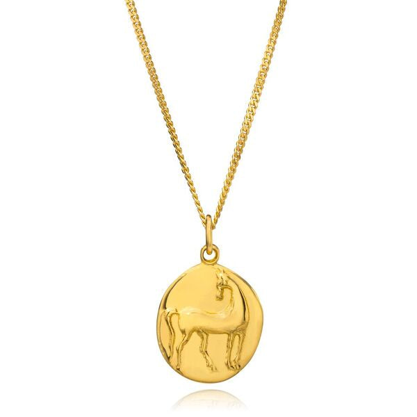 Athena Attica Ancient Silver Coin Medallion Lapis 18 Karat Yellow Gold  Necklace For Sale at 1stDibs | athena coin necklace